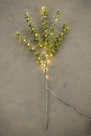 Декоративная светящаяся ветка ЭВКАЛИПТ ЦИНЕРИЯ, 50 тёплых белых LED-огней, 90 см, таймер, батарейки, уличная, Edelman