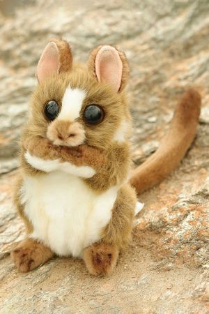 Мягкая игрушка ДОЛГОПЯТ с поворачивающейся головой, 15 см, Ханза (Hansa)