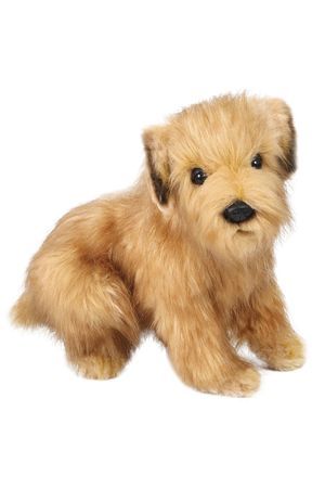 Мягкая игрушка Норфолский терьер 23 см, Ханза (Hansa)