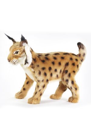 Мягкая игрушка испанская рысь стоящая, 35 см, HANSA