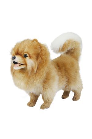 Мягкая игрушка померанский шпиц 28 см, Ханза (Hansa)