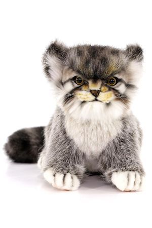 Мягкая игрушка Котенок манула, 31 см, Ханза (Hansa)