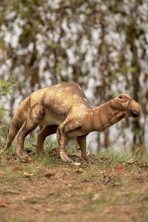 Мягкая игрушка Муттабурразавр Лэнгдон, 58 см, Ханза (Hansa)