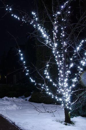 Клип Лайт - Спайдер Quality Light 600 м, 600 холодных белых LED ламп, черный ПВХ, IP44, Бьюти Лед (Beauty Led)