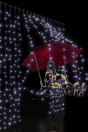 Светодиодный занавес 2*3 м, 600 холодных белых LED-огней, прозрачный СИЛИКОН+ПВХ, соединяемый, IP54, Рич ЛЕД (Rich LED)