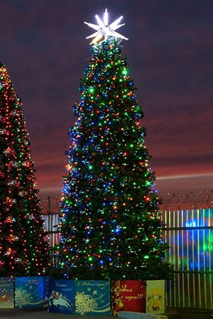 Новогоднее освещение Динамика для елки 5 м, GREEN TREES