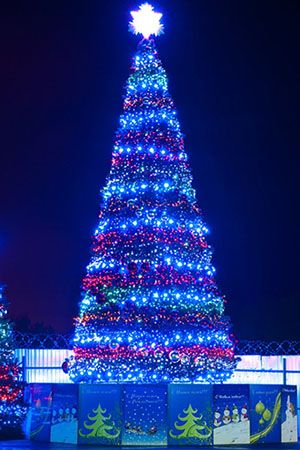 Светодинамическое освещение Северное Сияние для елки 10 м, GREEN TREES
