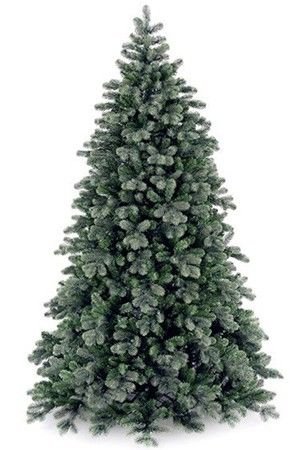    , (  +PV), 152 , National Tree Company