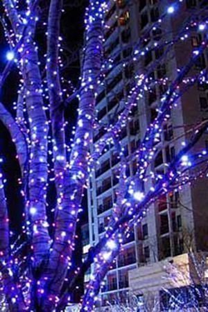 Гирлянды на дерево Клип Лайт Quality Light 30 м, 300 синих LED ламп, черный ПВХ, IP44, BEAUTY LED