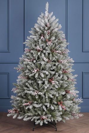    -   ,    , 198 , National Tree Company