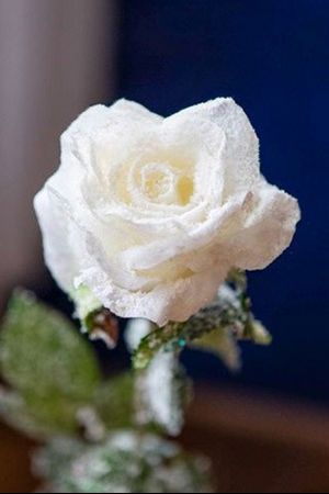   , 70 ,  