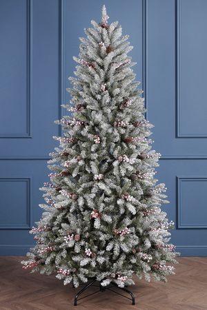    -   ,    , , 1.37 , National Tree Company