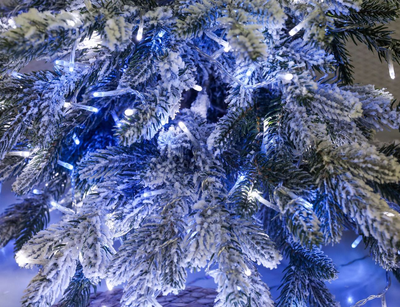 Увеличить фотографию