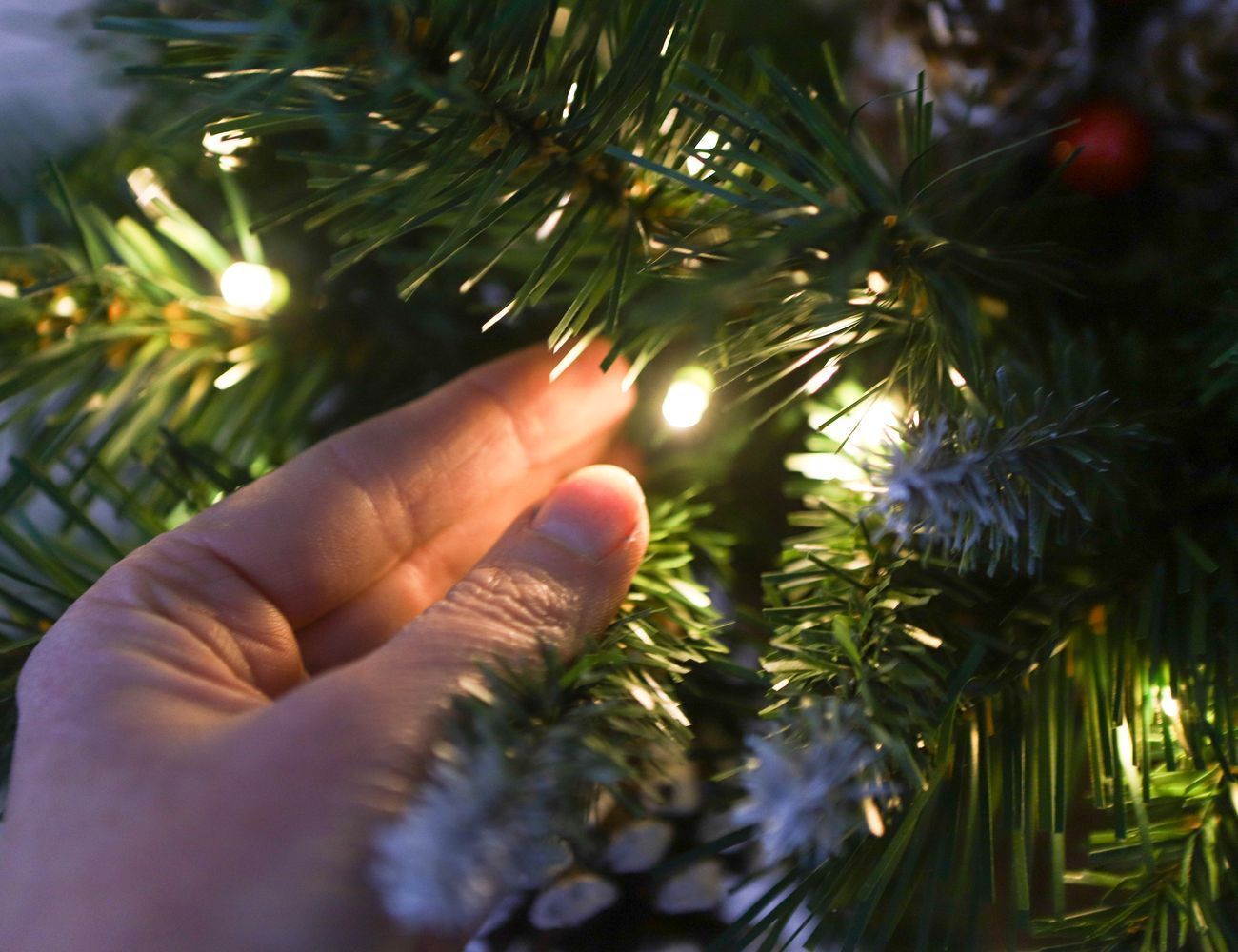 Увеличить фотографию