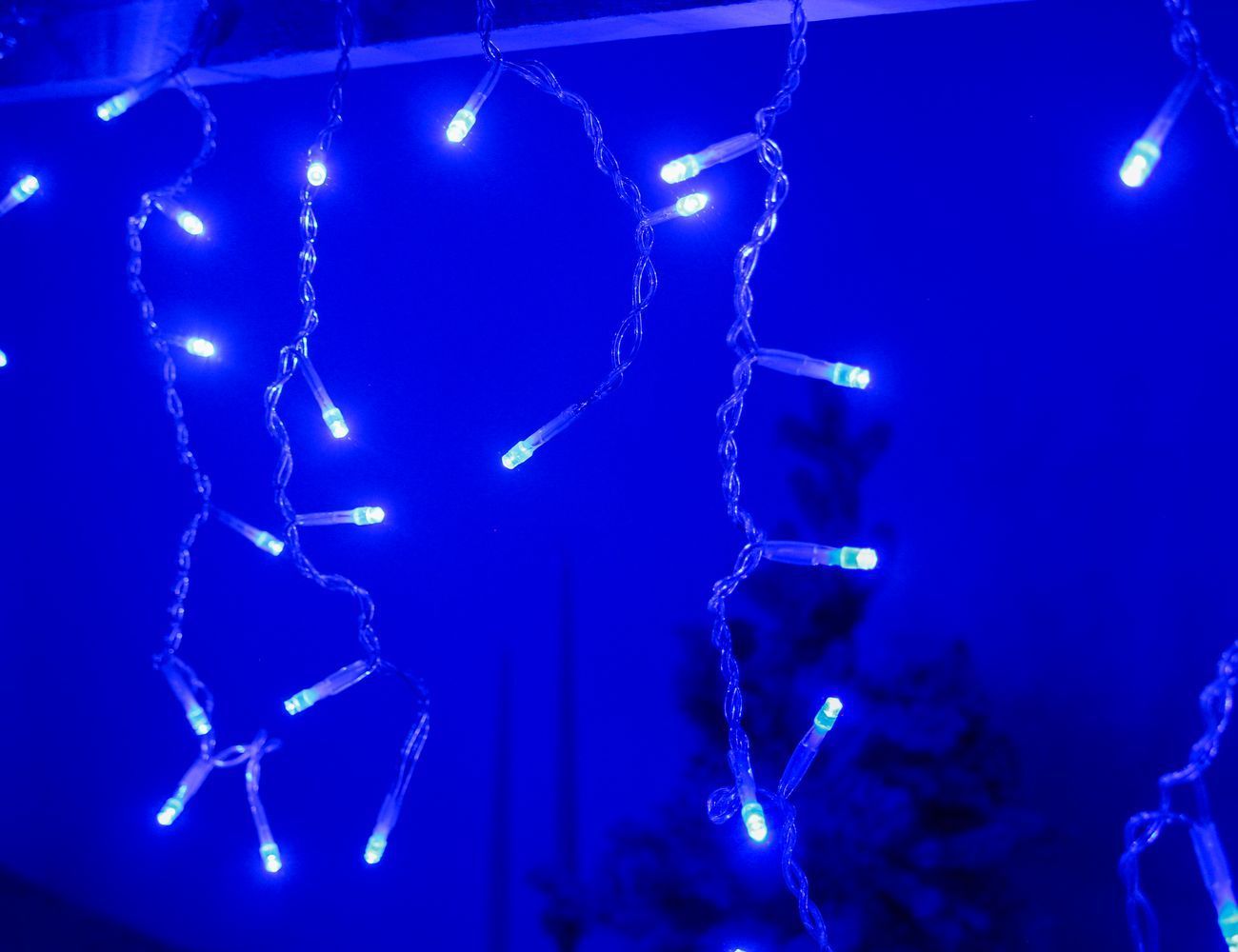 Увеличить фотографию