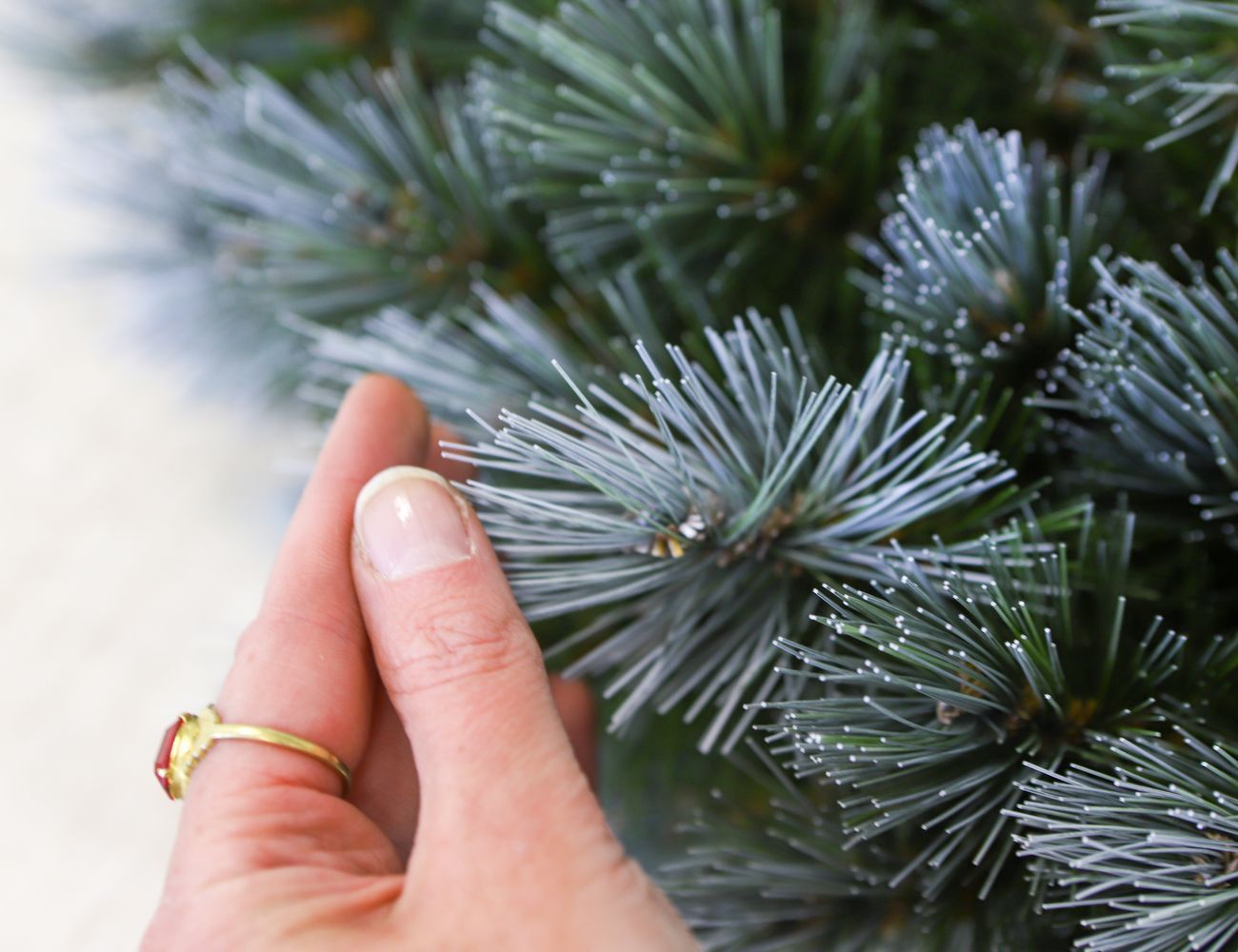 Увеличить фотографию