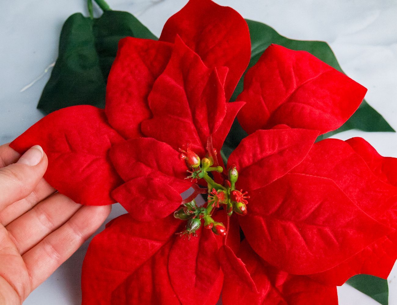 Увеличить фотографию