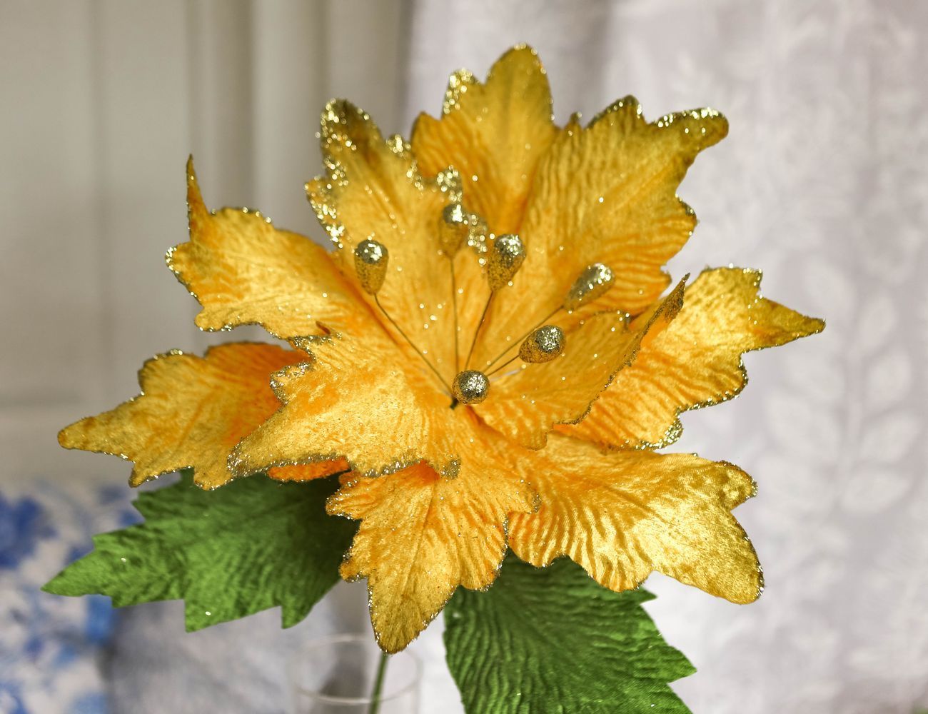 Увеличить фотографию