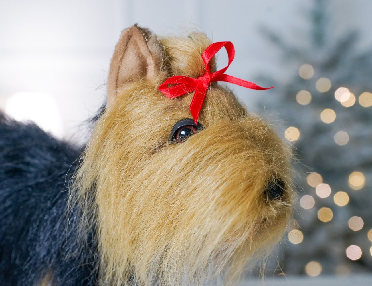 Увеличить фотографию