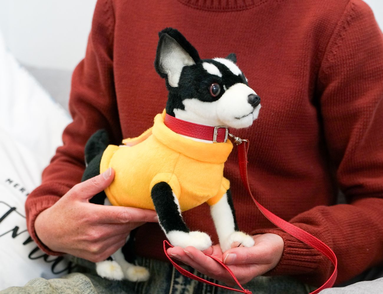 Увеличить фотографию