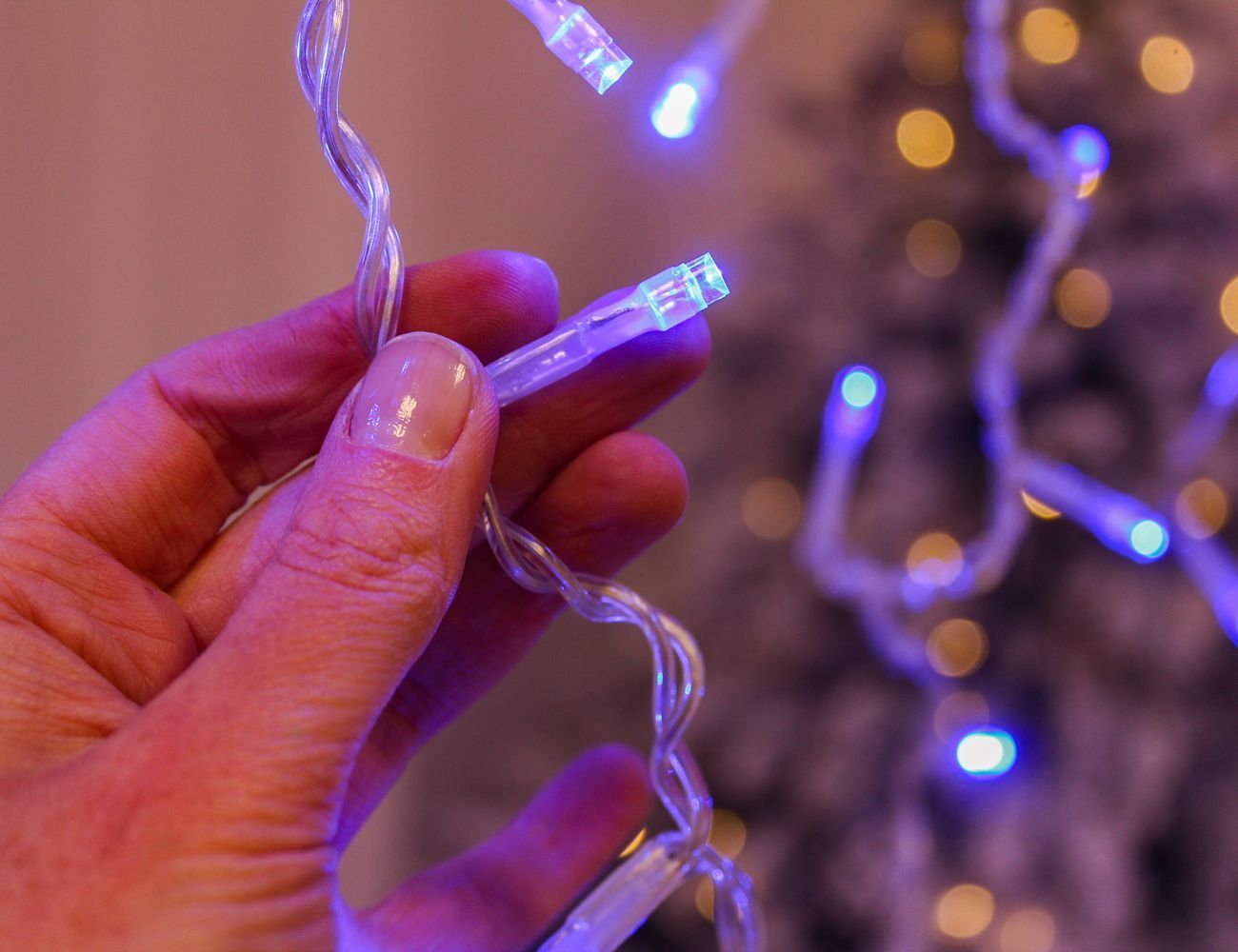 Увеличить фотографию