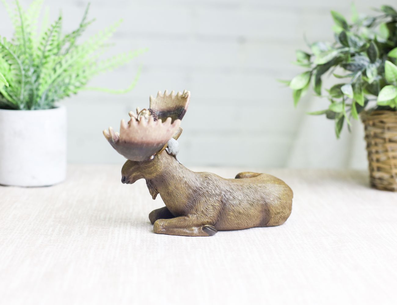 Увеличить фотографию