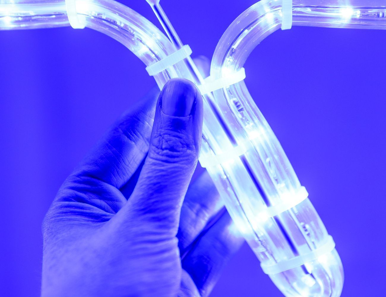 Увеличить фотографию