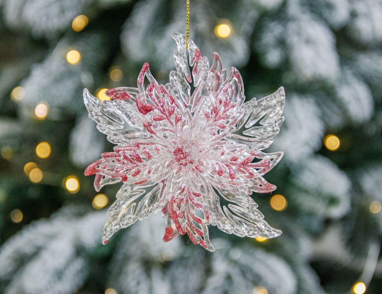 Увеличить фотографию