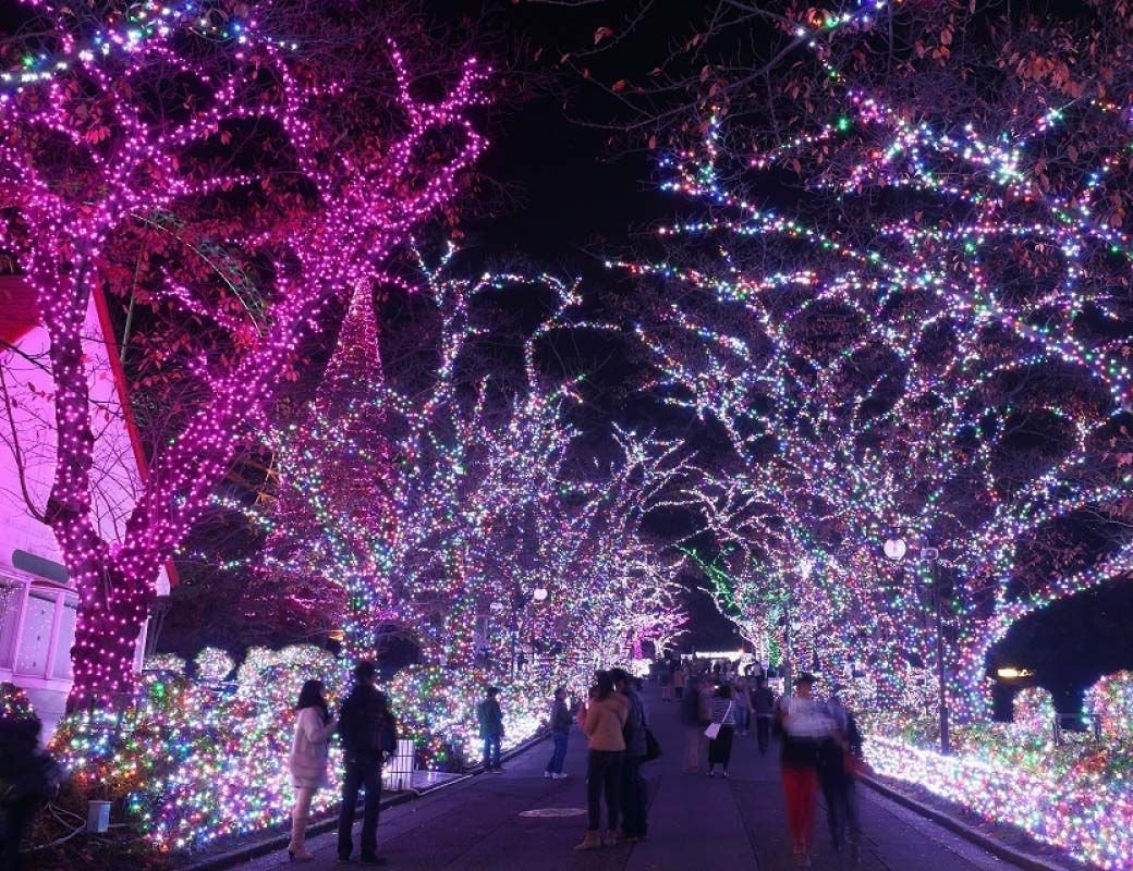 Увеличить фотографию