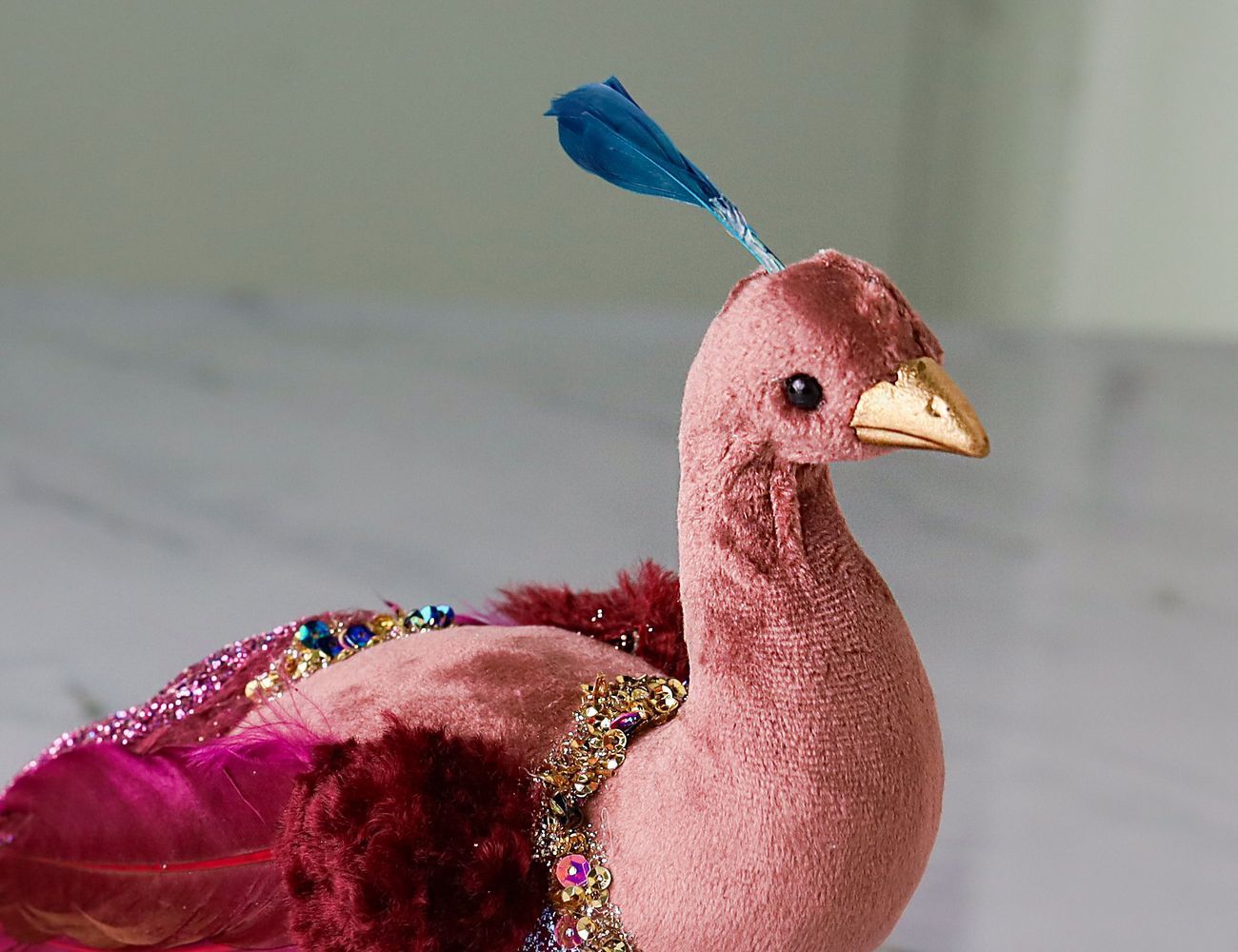 Увеличить фотографию