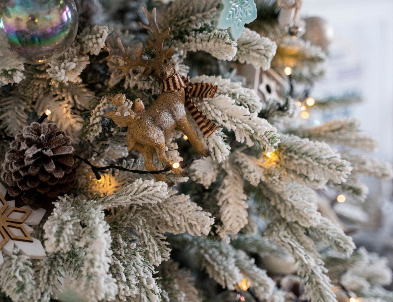 Увеличить фотографию