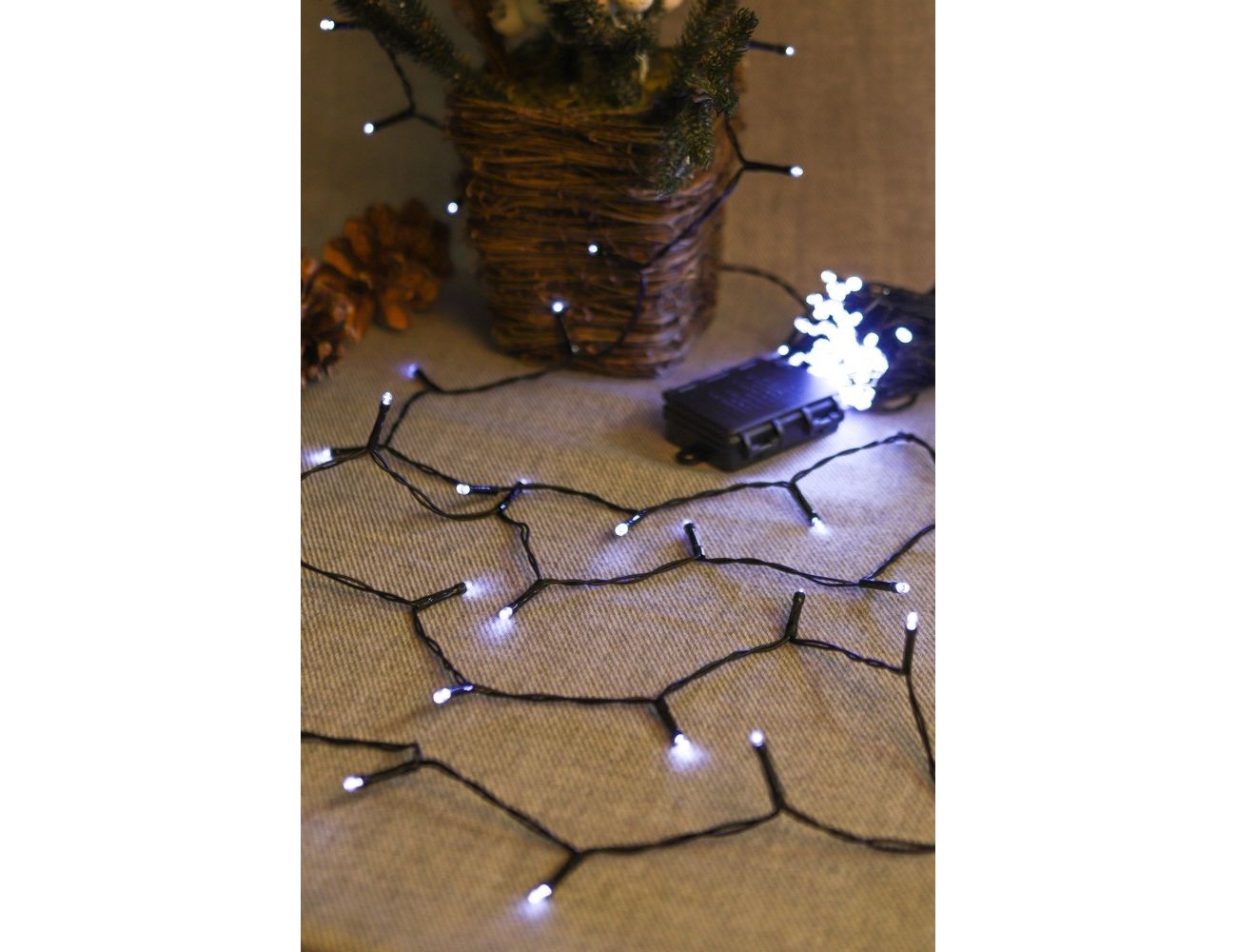 Увеличить фотографию