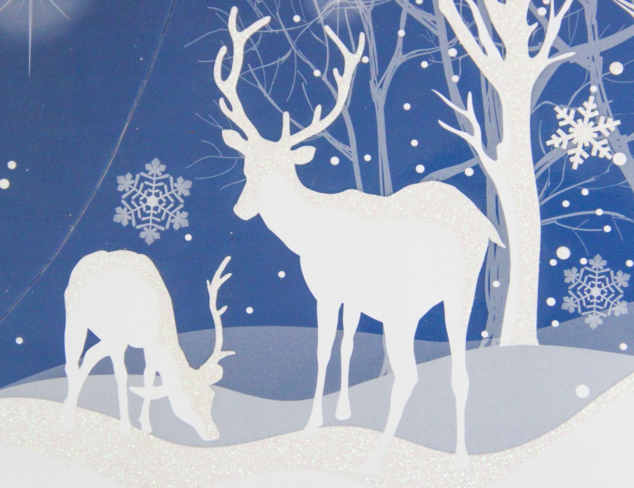 Увеличить фотографию