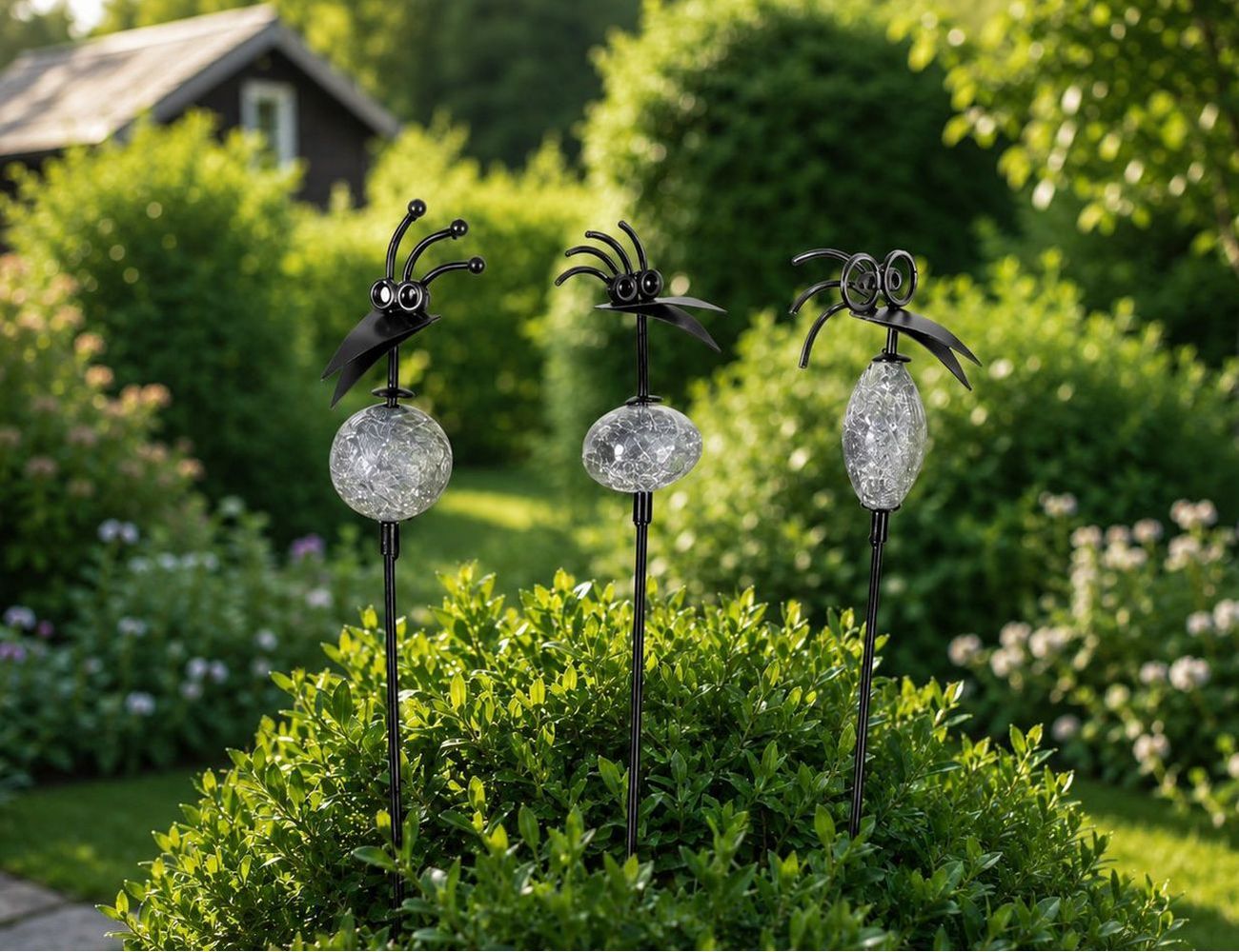 Увеличить фотографию