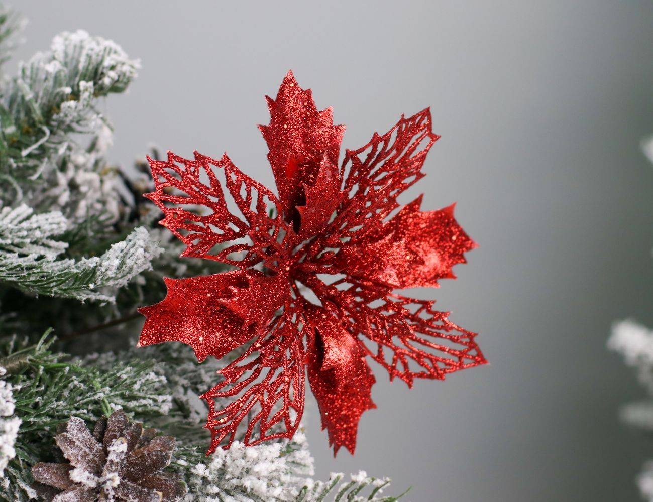 Увеличить фотографию