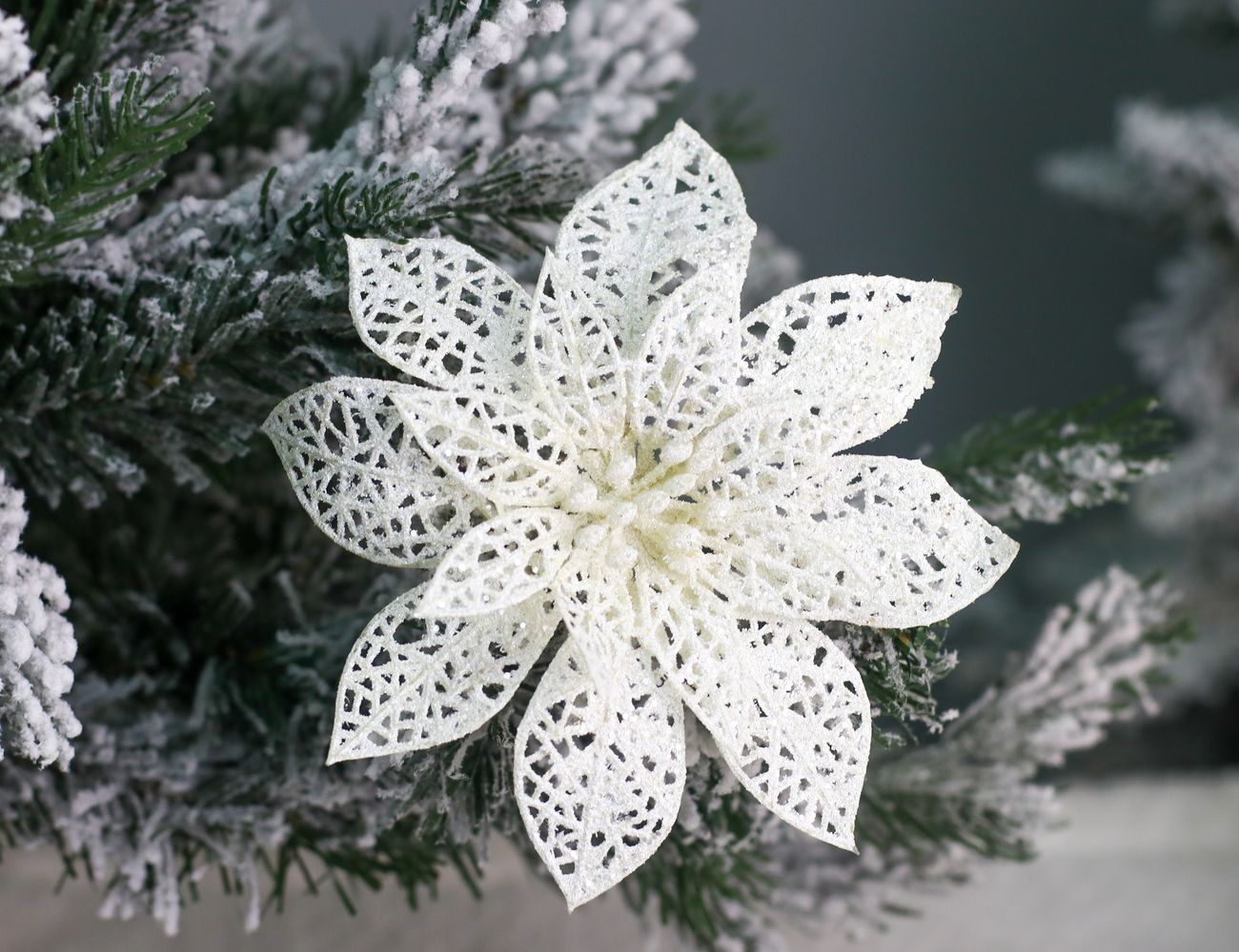 Увеличить фотографию