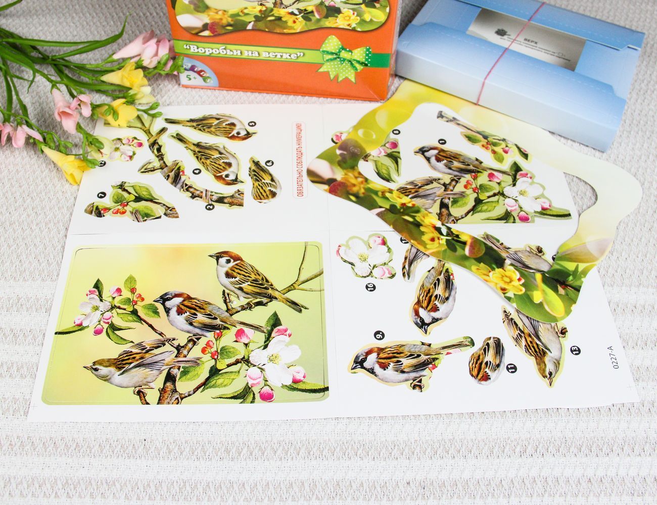 Увеличить фотографию