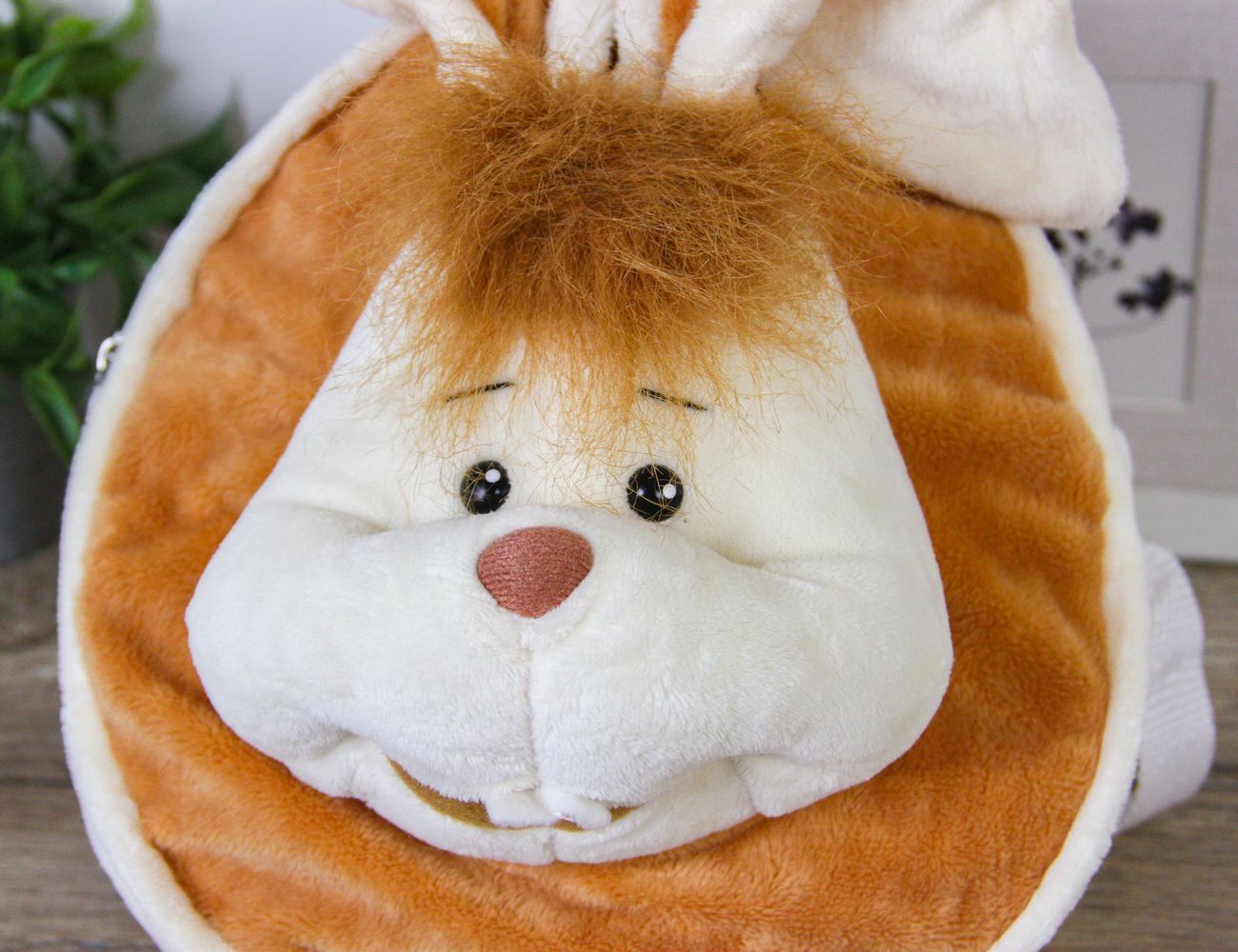 Увеличить фотографию