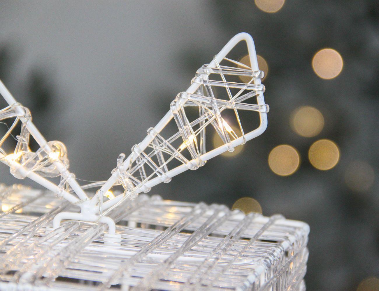 Увеличить фотографию