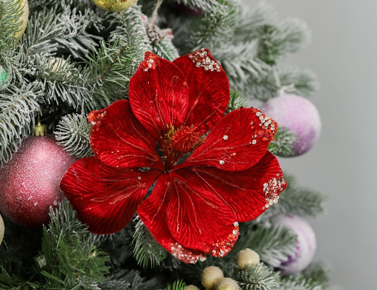 Увеличить фотографию