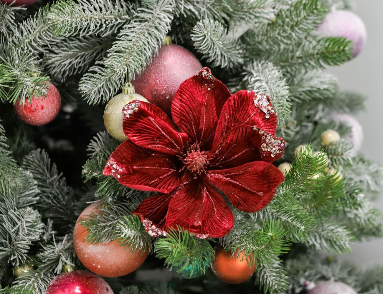 Увеличить фотографию