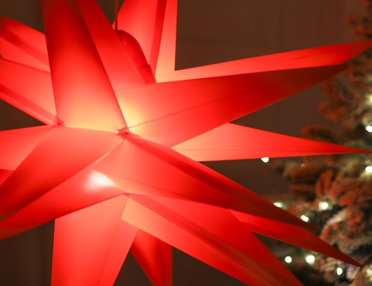 Увеличить фотографию