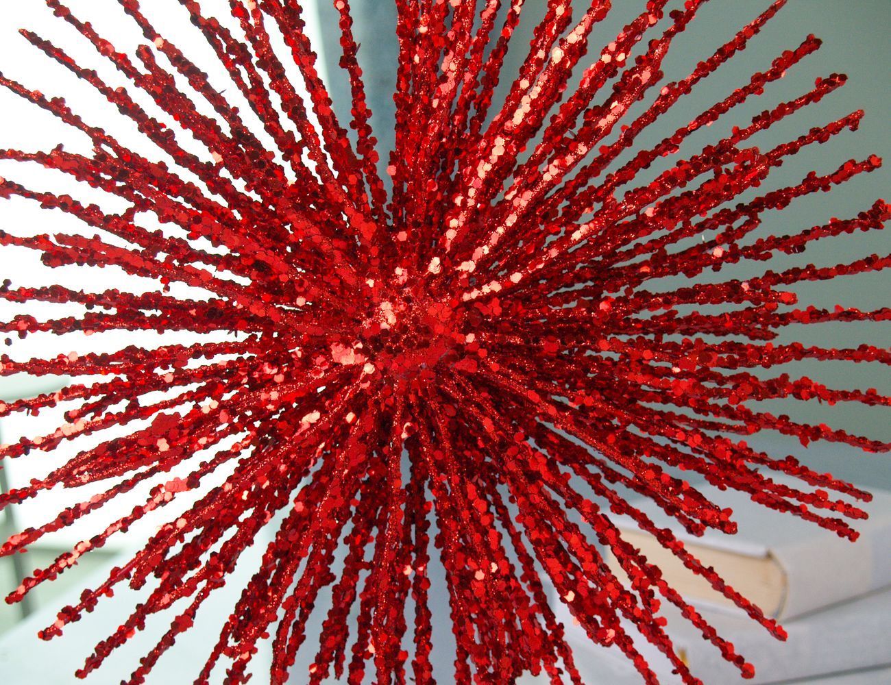 Увеличить фотографию