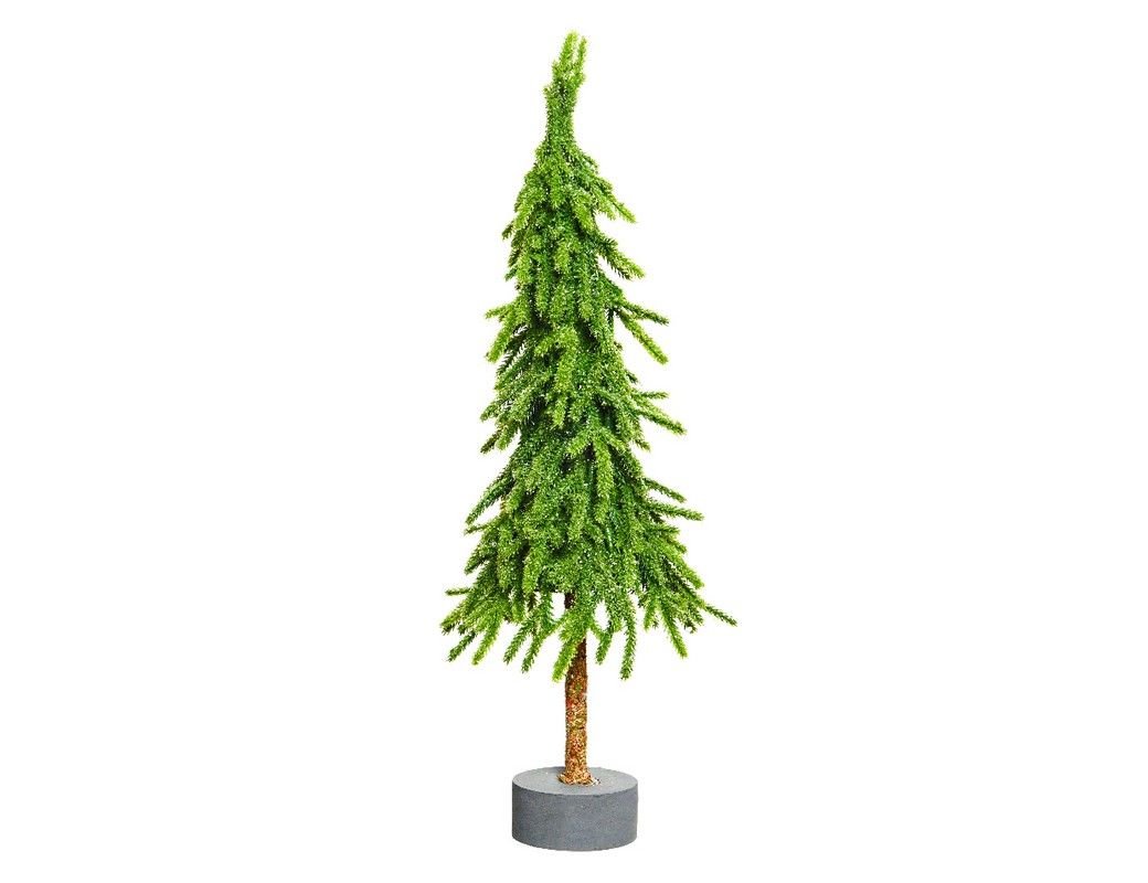 Настольные Ели Купить