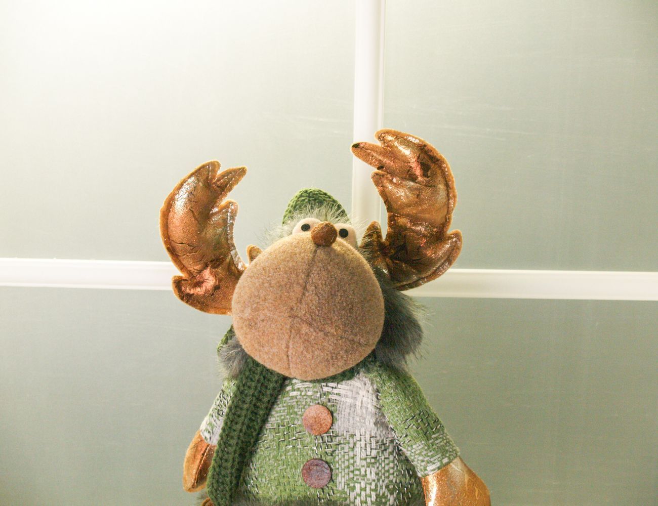 Увеличить фотографию