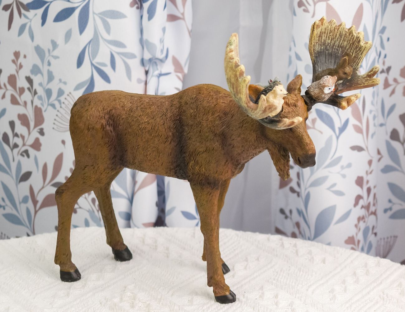 Увеличить фотографию