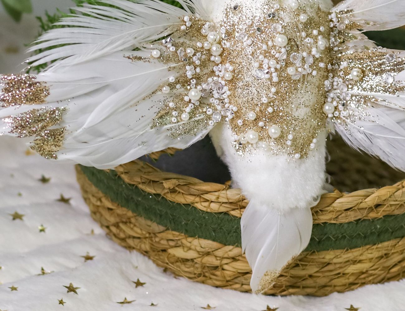 Увеличить фотографию