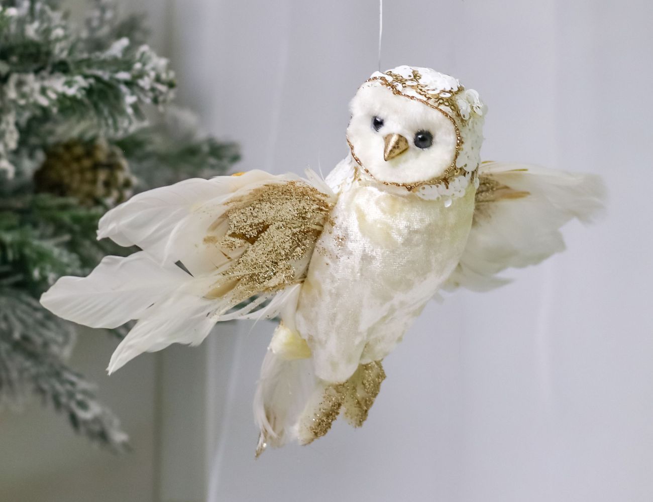 Увеличить фотографию