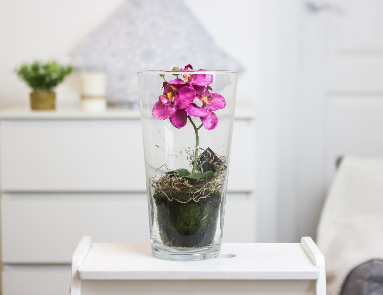 Увеличить фотографию