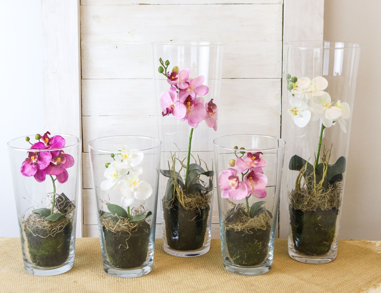 Увеличить фотографию